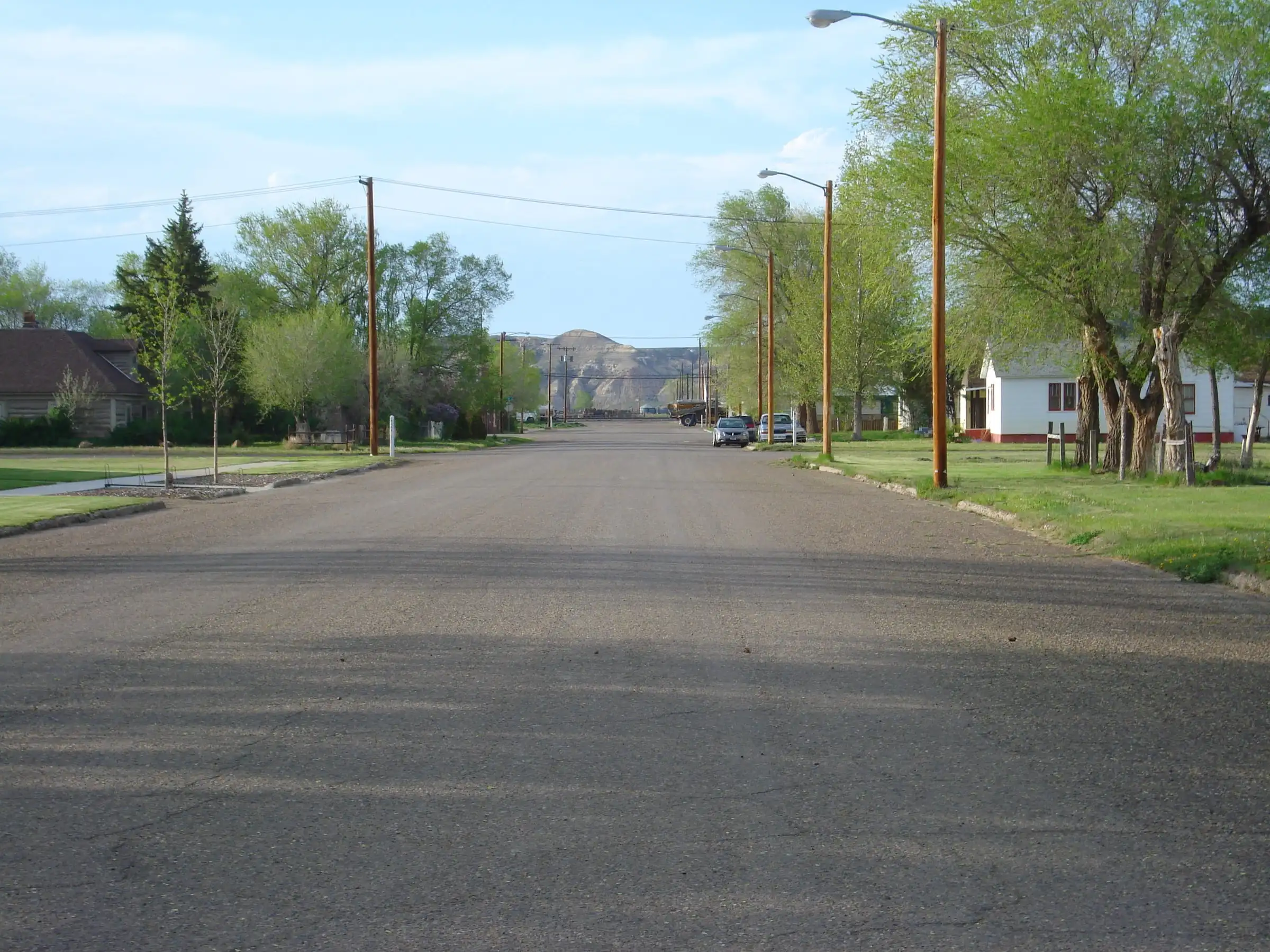 A quiet street in Terry, Montana, lined with trees, with the badlands on the horizon